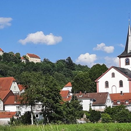 Ferienwohnung Odenwaldflair Reichelsheim Eksteriør billede